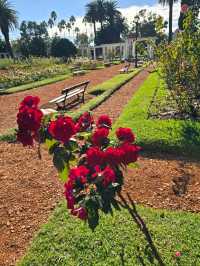해외여행 부에노스아이레스의 장미공원 El Rosedal Garden