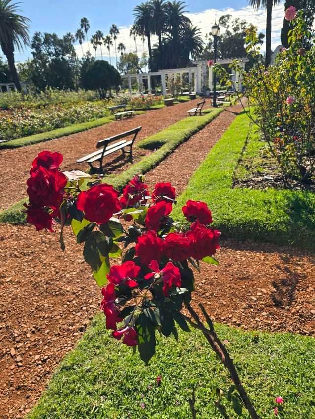 해외여행 부에노스아이레스의 장미공원 El Rosedal Garden