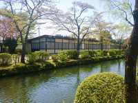 Wandering Edo: A Peaceful Stroll Through Japan’s Historic Village