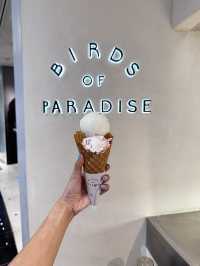 ✈️【新加坡🇸🇬轉機3小時，也能變身療癒系美食巡禮🍦🥐】