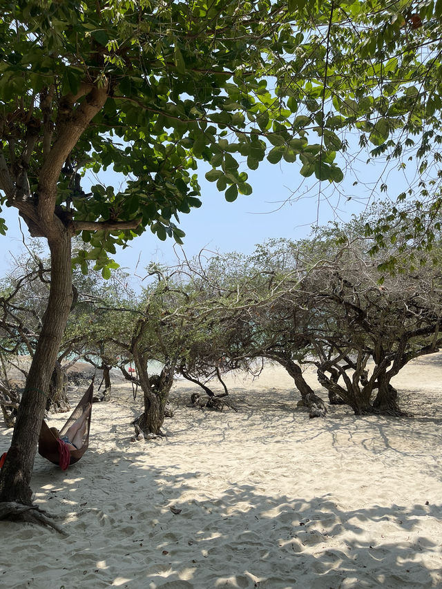Sirin villa samed🏝️