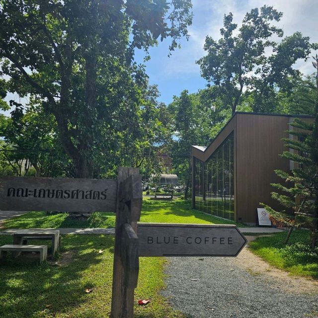 Co working space - BlueCoffee At AgricultureCMU