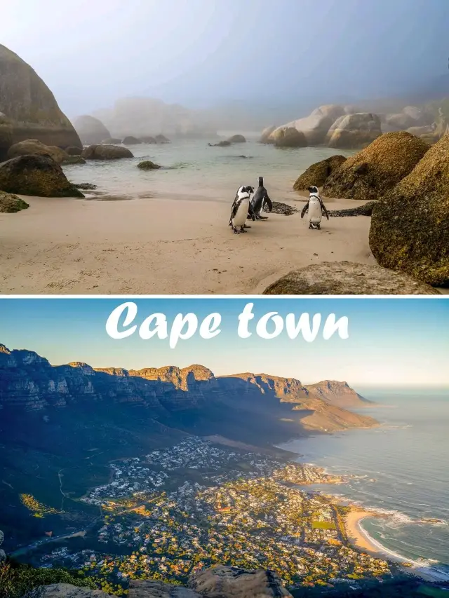 Cape town เมืองเดียว ที่เที่ยวเพียบ