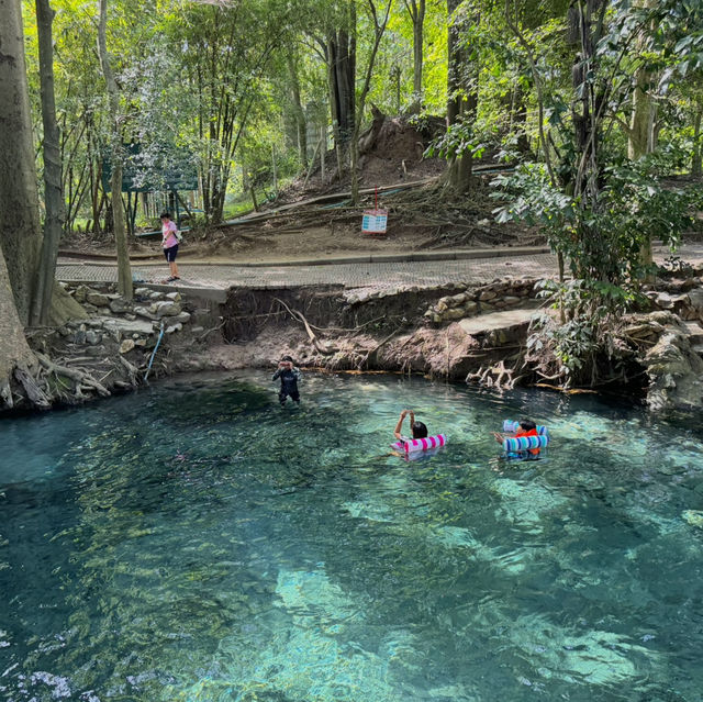 น้ำผุดธรรมชาติ เขาใหญ่ น้ำใสมากกก💦🌳