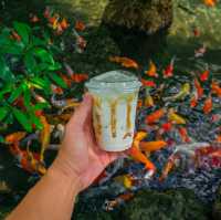  คาเฟ่ในป่าบรรยากาศสบายตาเขียวชะอุ่ม
