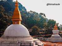 Timal village of tamang community 