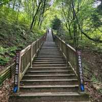 Soemisan Forest Trail