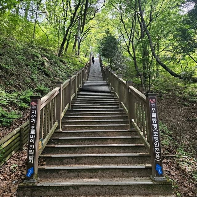 Soemisan Forest Trail