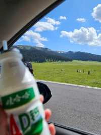 天山山脈予你一場夏日清涼🌱