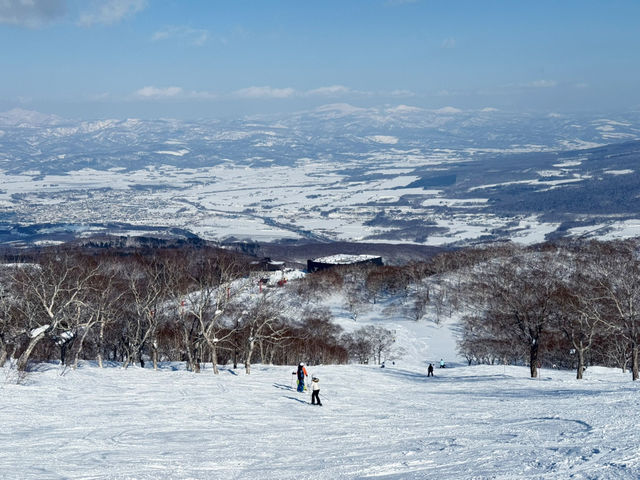 盡亨羊蹄山美景的滑雪場⛷️