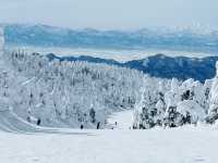 樹冰高原中的滑雪天堂❄️