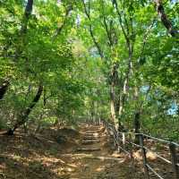 Stone Walls & Forest Strolls, Namhansanseong
