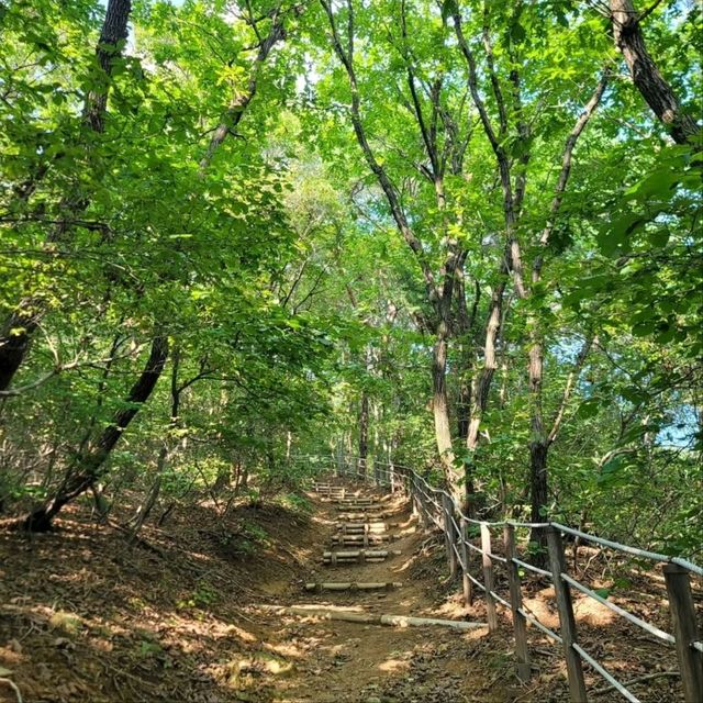 Stone Walls & Forest Strolls, Namhansanseong