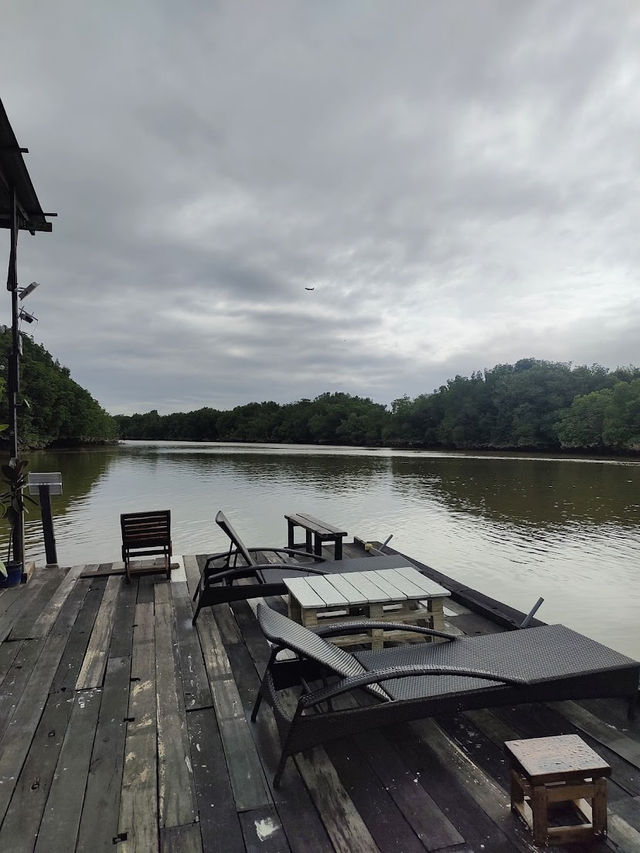 Outdoorgate Sepang Mangrove River Kayaking, A Thrilling Eco Adventure