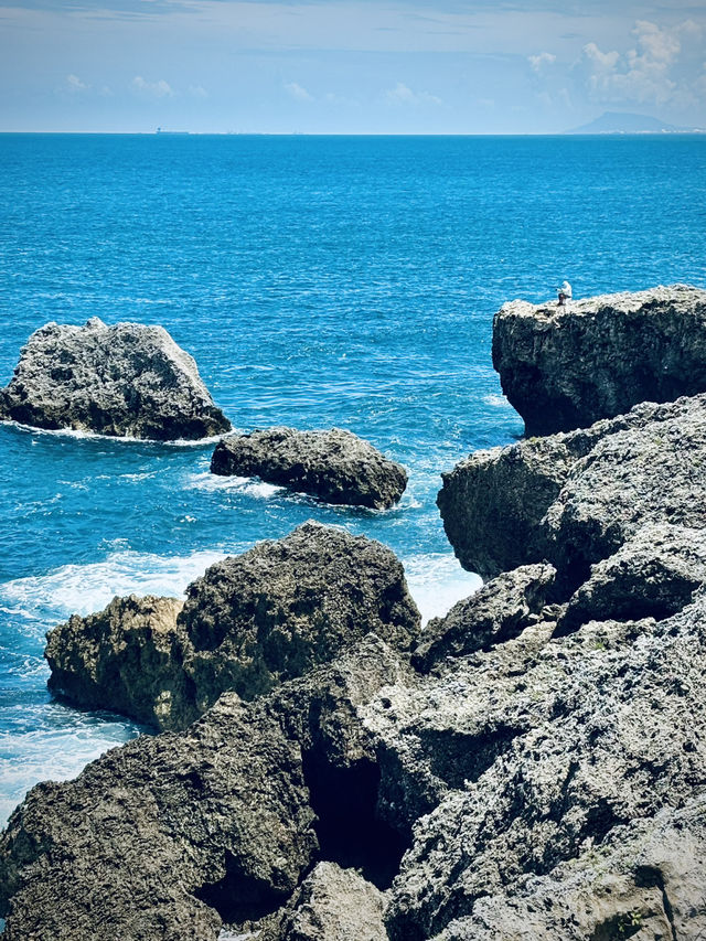 🐢小琉球探秘：海龜、珊瑚與慢活島嶼生活