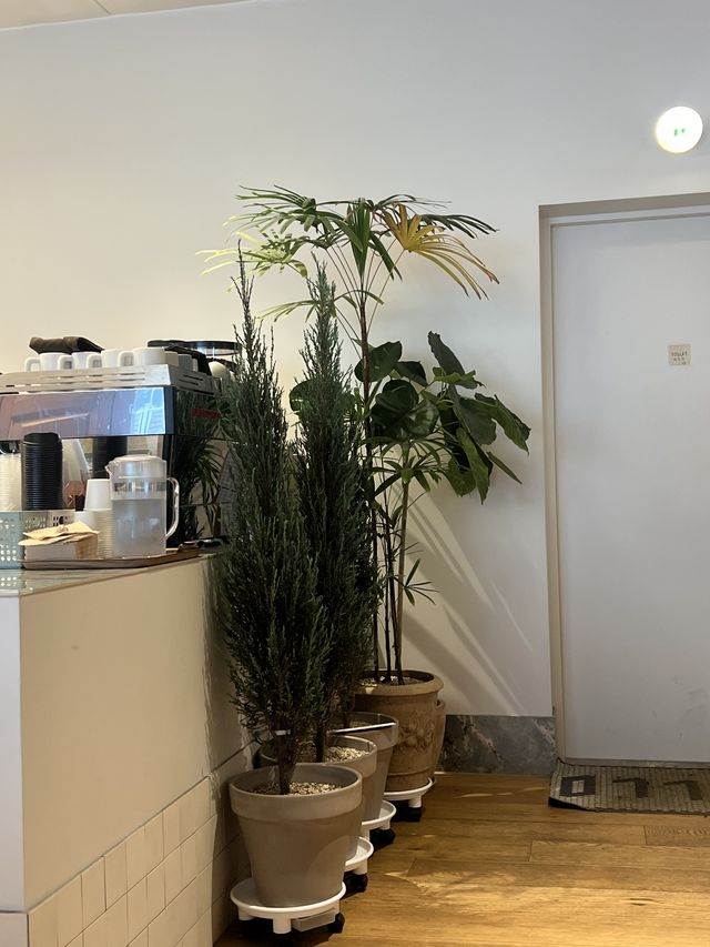 Hoxy Cafe in Jeonpo