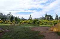 Anna Park Yercaud