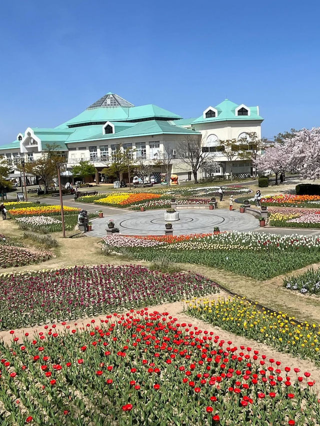 新潟の魅力を一度に満喫。新潟ふるさと村で心豊かな旅を🌾