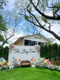  คาเฟ่และร้านอาหารบรรยากาศริมบ่อปลาคาร์ป