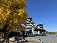 Kumamoto Castle: A Majestic Icon of Strength, History, and Resilience