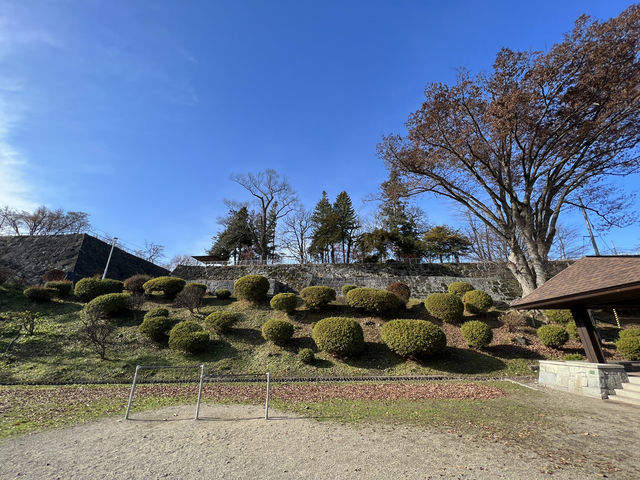 🏞️ Strolling Through History – Morioka Castle Site Park (Iwate Park)