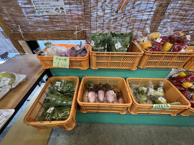 🚗 A Hidden Gem on the Highway – Roadside Station Chokai Flat
