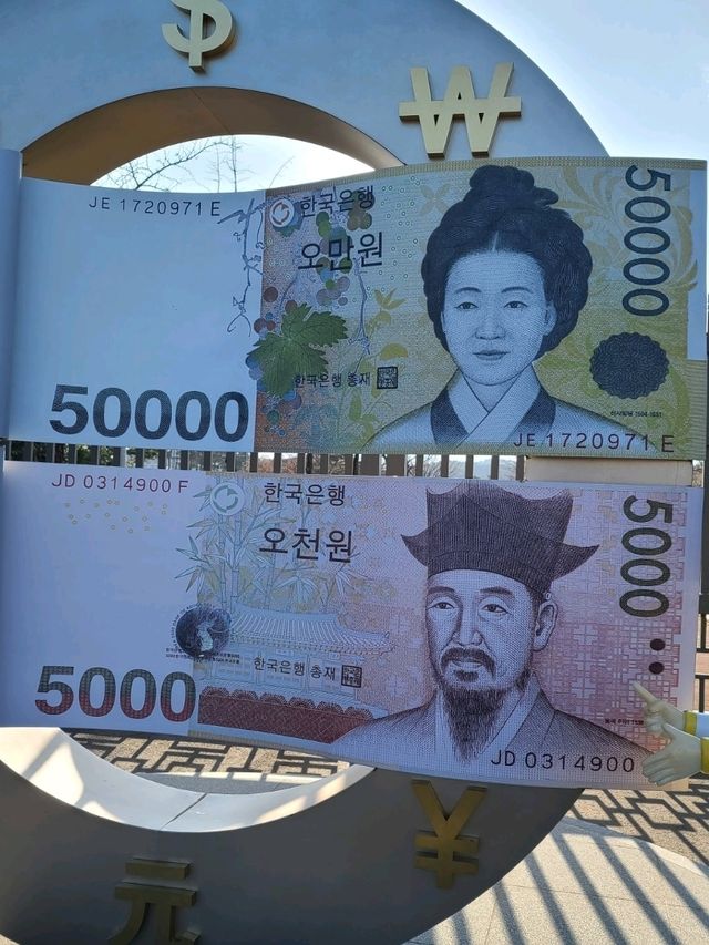  600년 넘은배롱나무가 살고있는💚 오죽헌