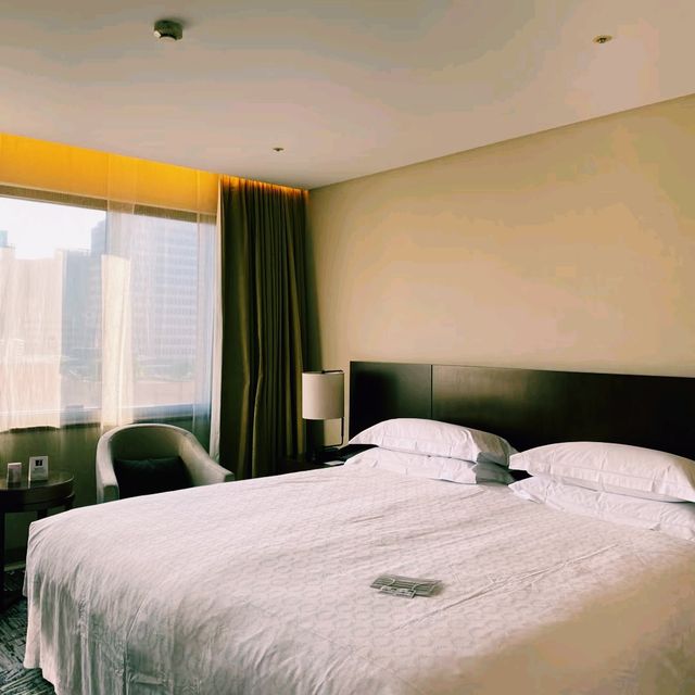 台北豪華無邊際泳池酒店推薦：台北喜來登大酒店，適合親子遊的泳池