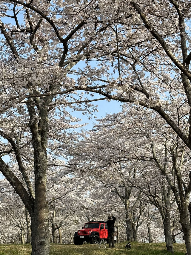 日本近郊一天遊！