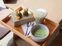 SAFARI Matcha Bar Khaoyai 