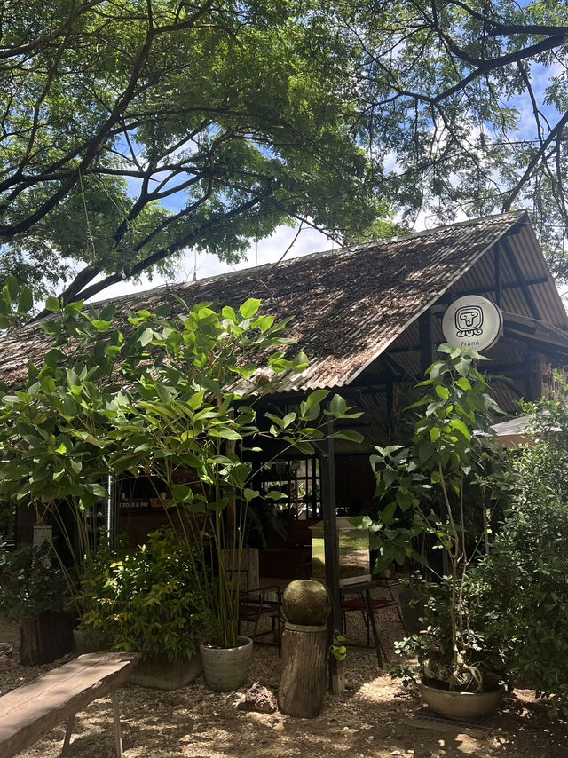 ชิลล์กับโกโก้รสเข้ม ร่มรื่นใจ ที่ปราณโกโก้ ☕️🌿