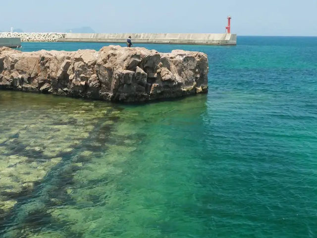 【海と緑のふれあい空間🌞】ひびき海の公園でのんびり海辺さんぽ