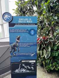 Jurassic World: A Thrilling Journey Through Prehistoric Times