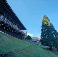 奈良 | 東大寺二月堂，登高遠眺好去處