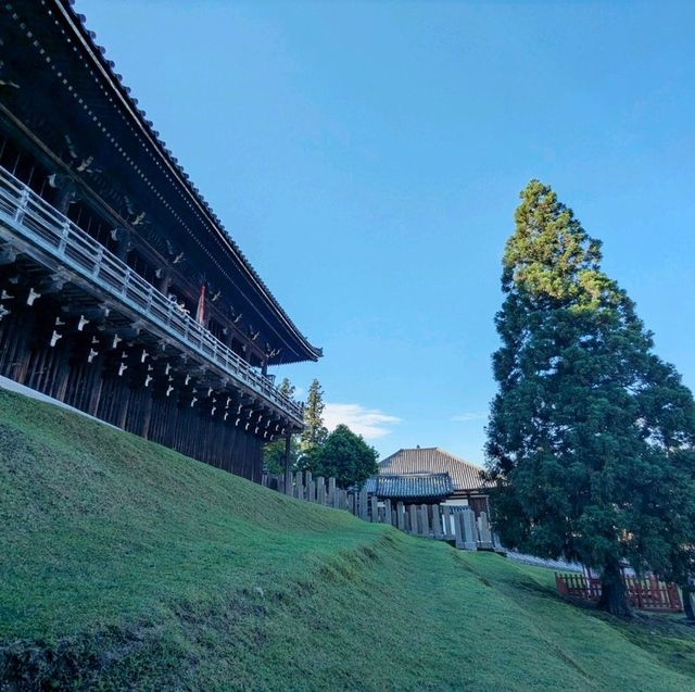 奈良 | 東大寺二月堂，登高遠眺好去處