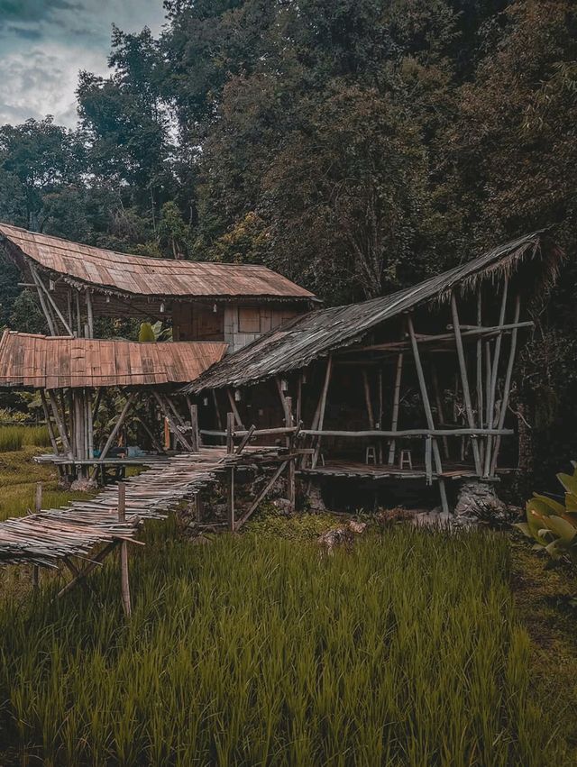 Giant Bamboo Hut เชียงใหม่