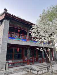 You MUST visit this place in Beijing