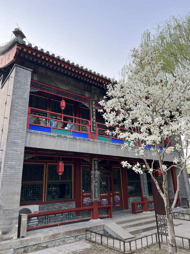 You MUST visit this place in Beijing