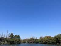 The vibe of Hangzhou