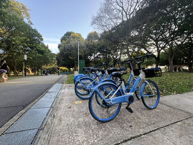 🌳 Family Fun at West Coast Park