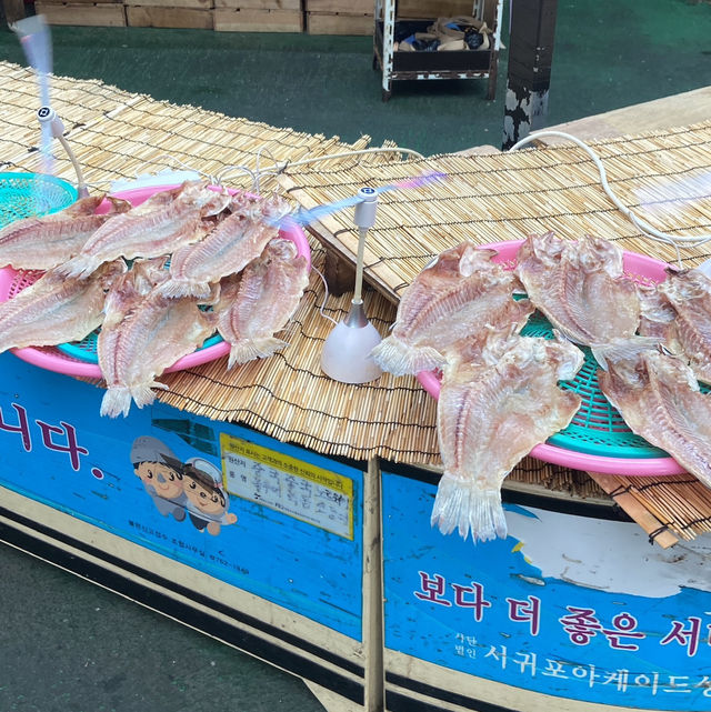 Escape the Heat: Market Magic in Seogwipo