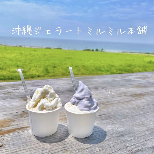 📸本当におすすめ！石垣島の映えスポットツアー🌺🐠