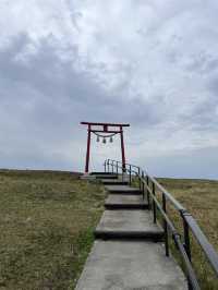 *壯觀*、*全景*、*神聖*、*夢幻*。🌿  你最想親身感受哪一種感覺？