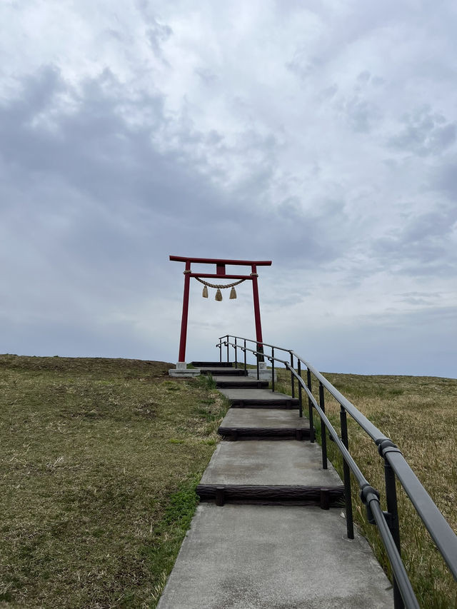 *壯觀*、*全景*、*神聖*、*夢幻*。🌿  你最想親身感受哪一種感覺？