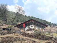 Clouds, Cranes & Walks at Phobjikha Valley Round 2