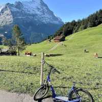 Grindelwald First – Trottibike & Zipline
