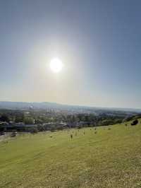 🦌⛰️✨ Quick Guide – Mount Wakakusa & Ikuta Shrine