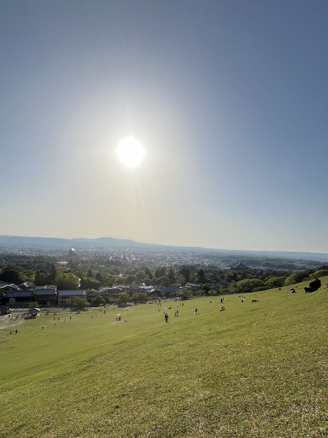 🦌⛰️✨ Quick Guide – Mount Wakakusa & Ikuta Shrine