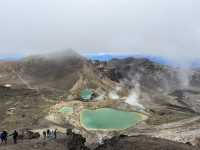 紐西蘭旅遊景點—🩵 Blue Lake 一圈剛剛好：在湖光山色裡呼吸森林