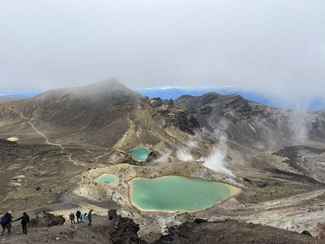 紐西蘭旅遊景點—🩵 Blue Lake 一圈剛剛好：在湖光山色裡呼吸森林